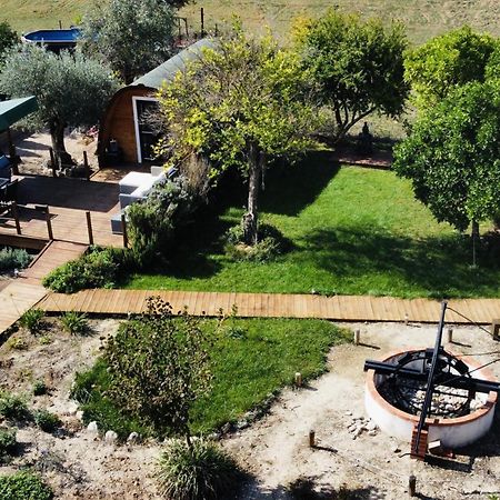 Glamping Turquesa, Feel And Relax In A Wood House Pensionat Corredoura Exteriör bild