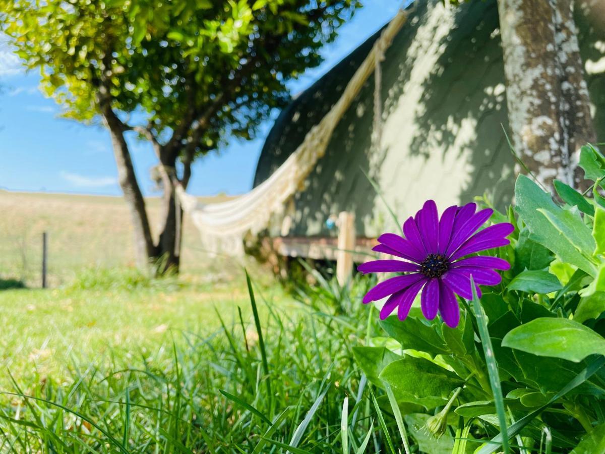 Glamping Turquesa, Feel And Relax In A Wood House Pensionat Corredoura Exteriör bild